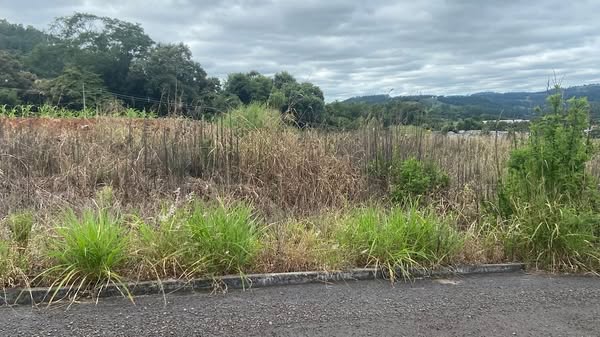 Vigilância Sanitária Intensificará Fiscalização de Terrenos Baldios