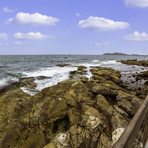 A quatro meses do fim do ano, Santa Catarina bate total de chegada de turistas internacionais de 2024